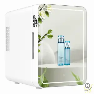 4L Mini Makeup Fridge WIth LED Light Mirror Portable Cosmetic Storage Refrigerator Keep fresh Cooler for Home Car Dual Use